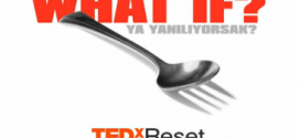 “Ya Yanlış Yere Tıkladıysak?” – TEDxReset 2011