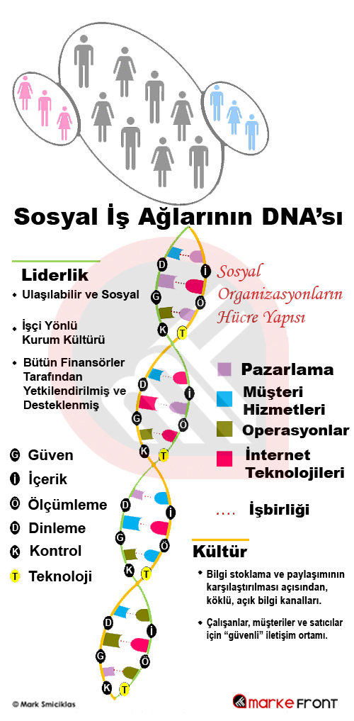 Sosyal İş Ağlarının DNA'sı