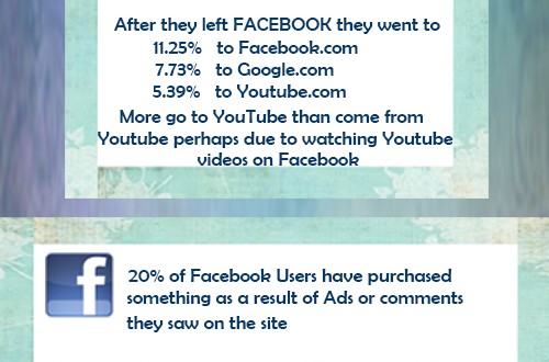 2013 Yılı Facebook Ve Pinterest İstatistikleri